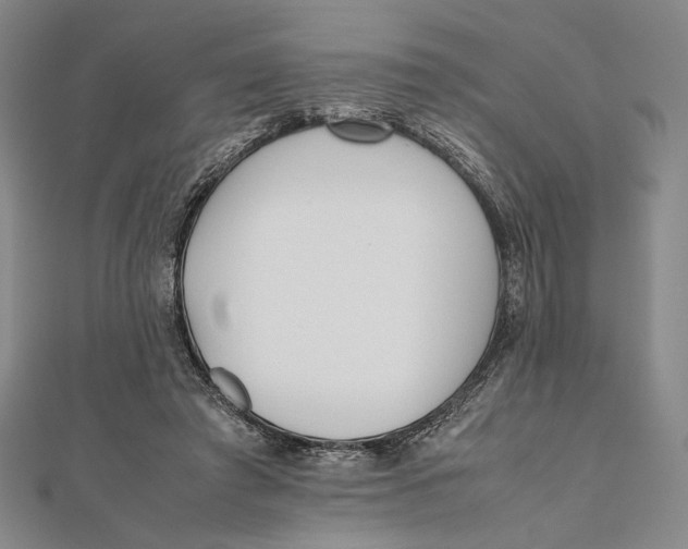 X0000112050401200908251003