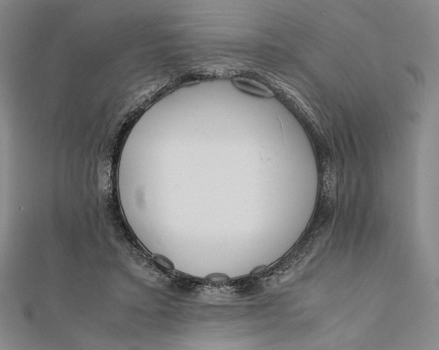 X0000112050403200908251003