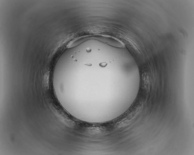 X0000112050404200908251003