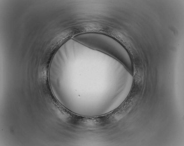 X0000112050405200908251003