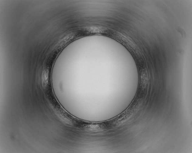 X0000112050406200908251003