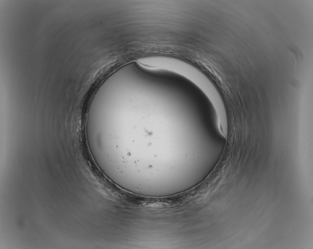 X0000112050407200908251003