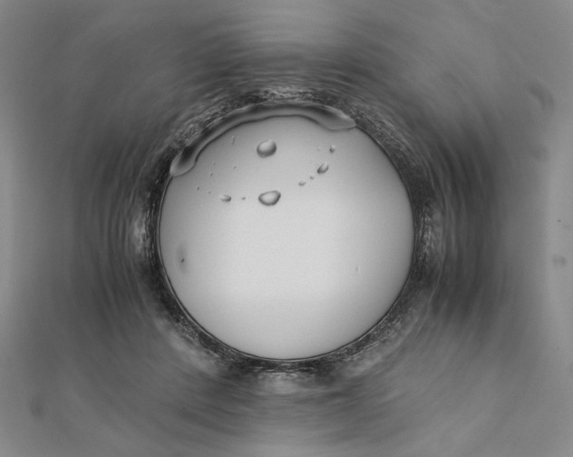 X0000112050408200908251003