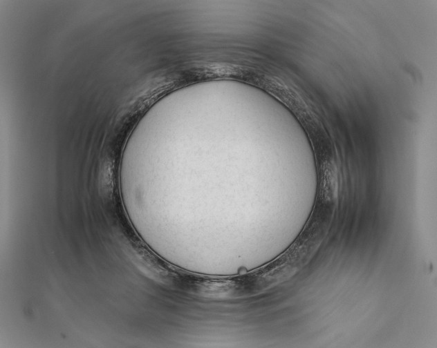 X0000112050410200908251003