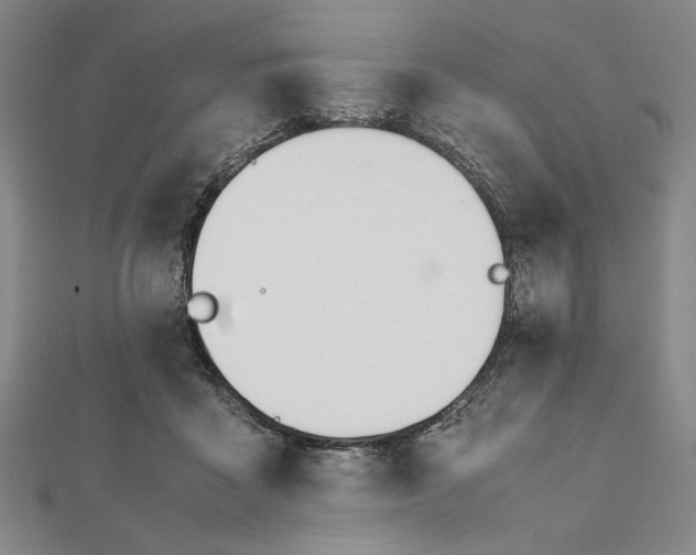 X0000112050411200908251003