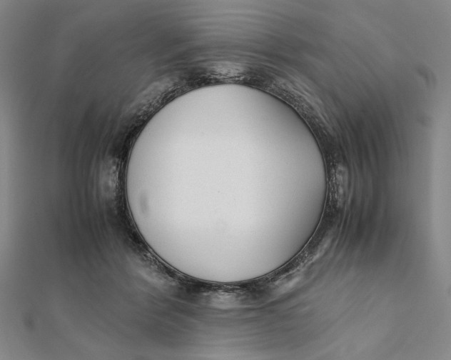 X0000112050412200908251003