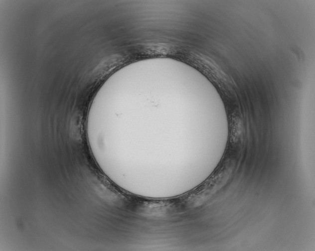 X0000112050414200908251003