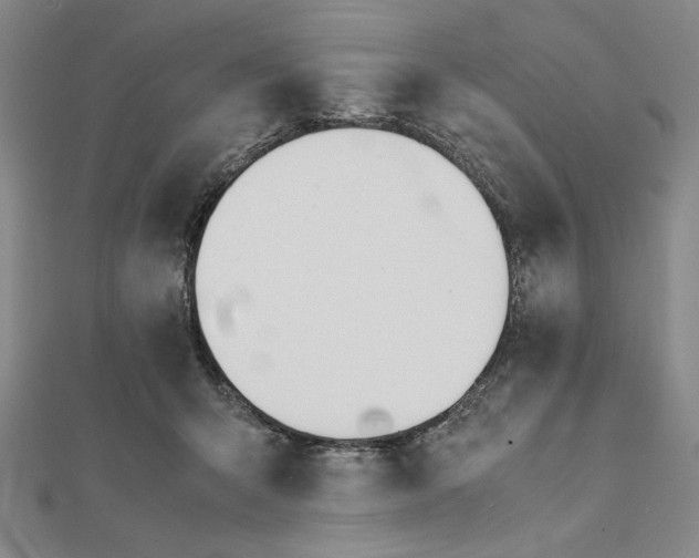 X0000112050415200908251003