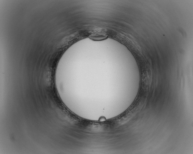 X0000112050416200908251003