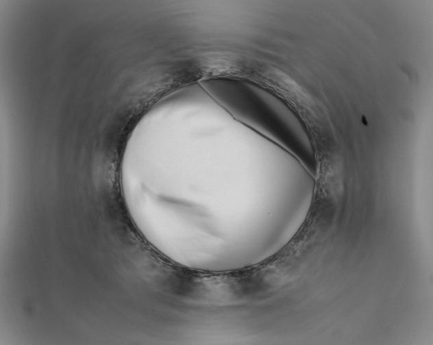 X0000112050417200908251003