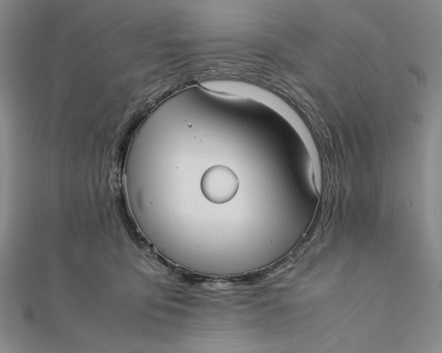 X0000112050419200908251003