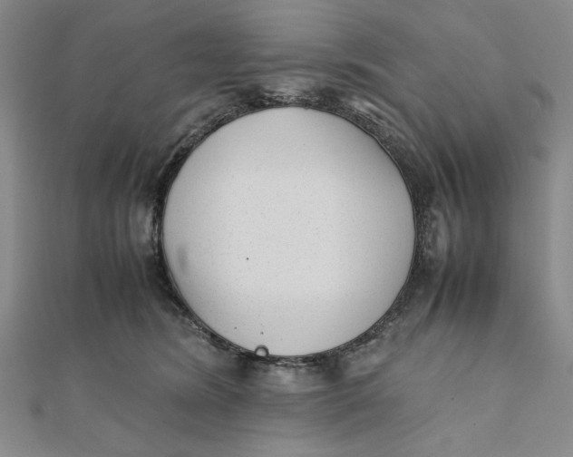 X0000112050420200908251003