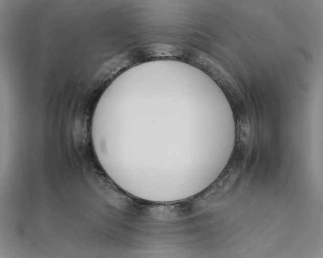 X0000112050422200908251003