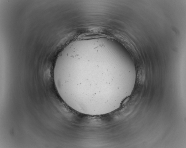 X0000112050424200908251003