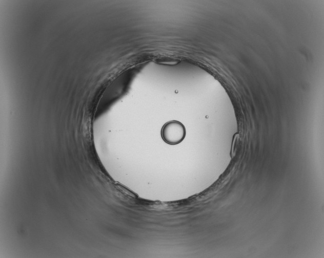 X0000112050425200908251003