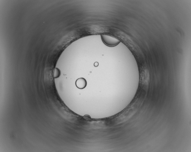 X0000112050426200908251003