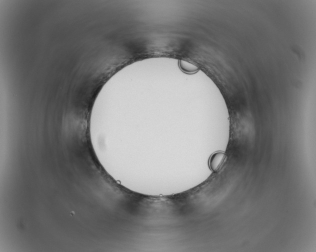 X0000112050427200908251003