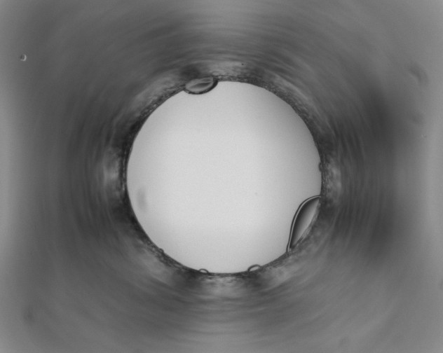 X0000112050428200908251003