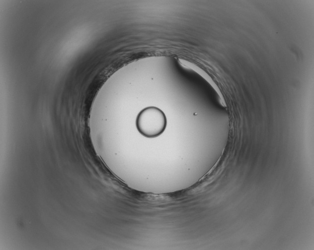 X0000112050429200908251003