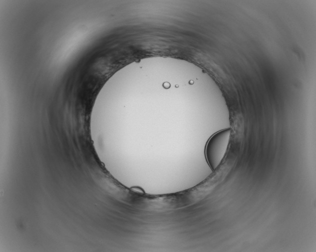 X0000112050430200908251003