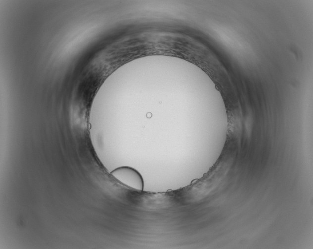 X0000112050431200908251003