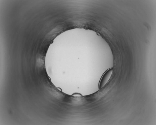 X0000112050432200908251003