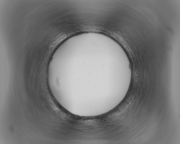 X0000112050433200908251002