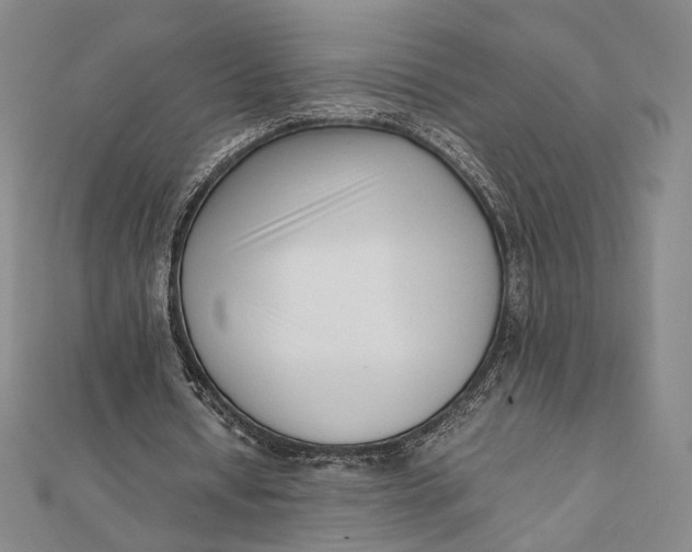 X0000112050434200908251002