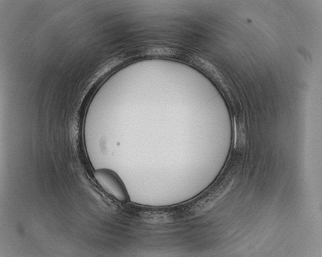 X0000112050435200908251002