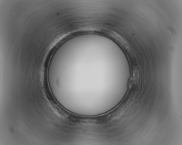 X0000112050436200908251002