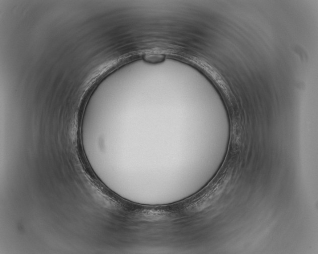 X0000112050437200908251002