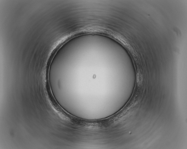 X0000112050438200908251002