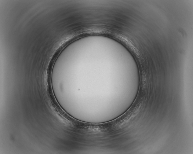 X0000112050439200908251002