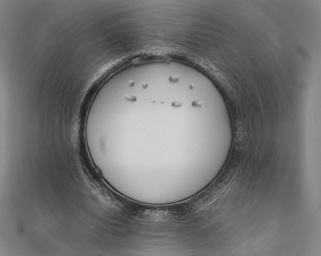 X0000112050440200908251002