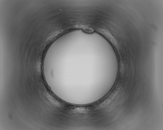 X0000112050441200908251002