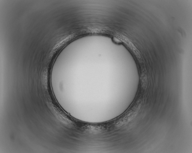 X0000112050442200908251002