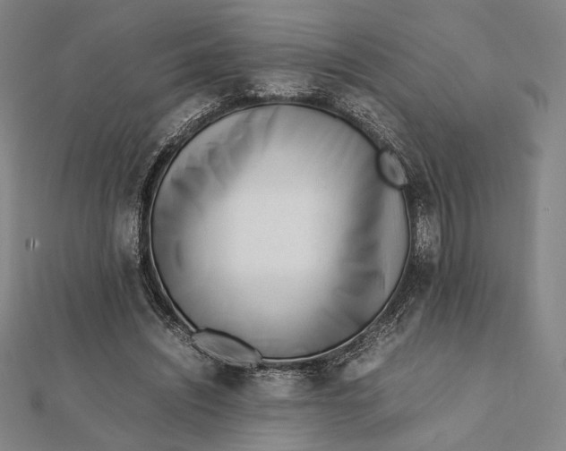 X0000112050444200908251002