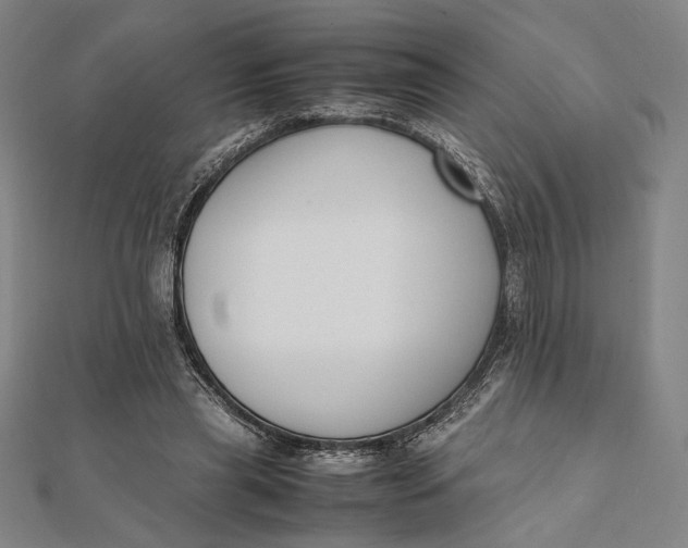 X0000112050445200908251002