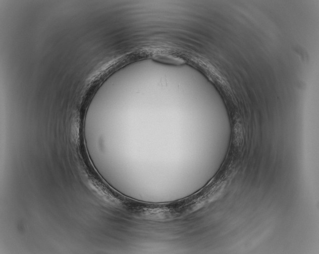 X0000112050446200908251002