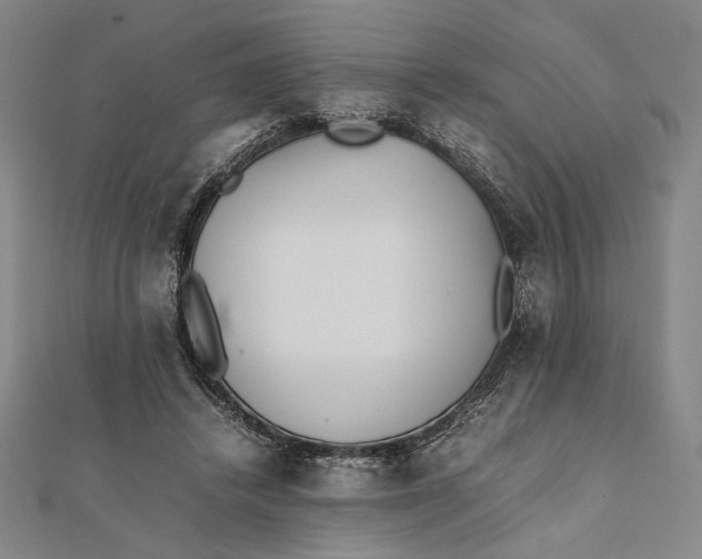 X0000112050448200908251002