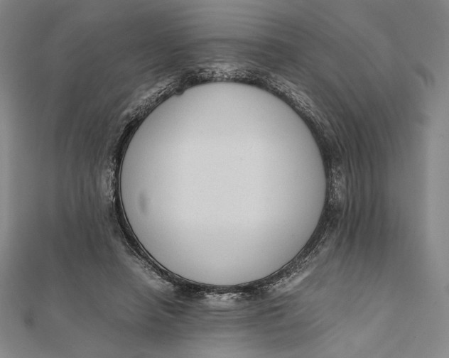 X0000112050450200908251002