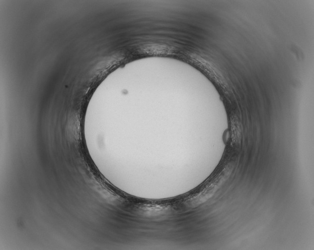 X0000112050453200908251002