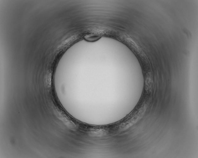 X0000112050454200908251002