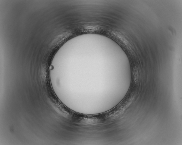 X0000112050455200908251002