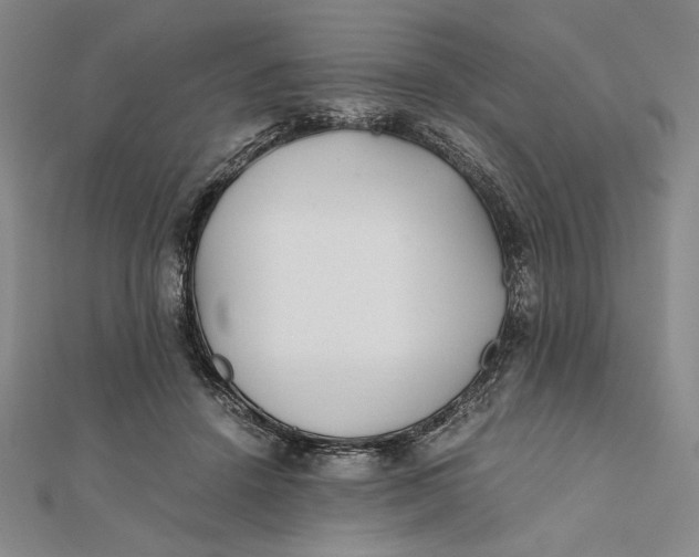 X0000112050456200908251002