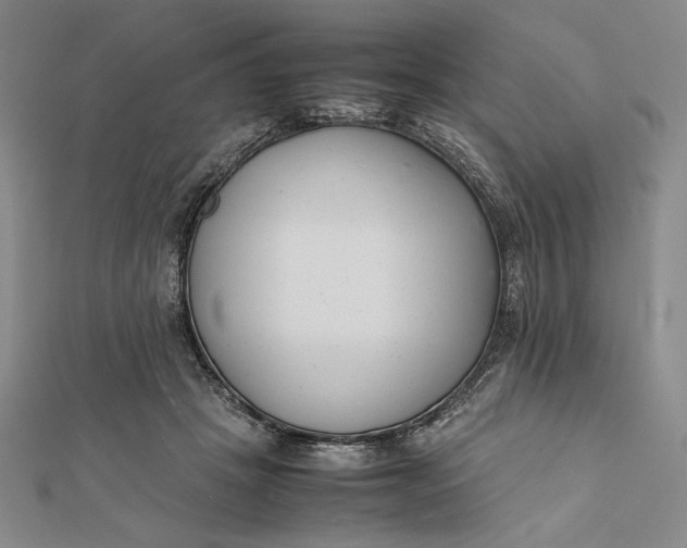 X0000112050457200908251002