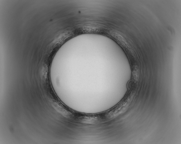 X0000112050458200908251002