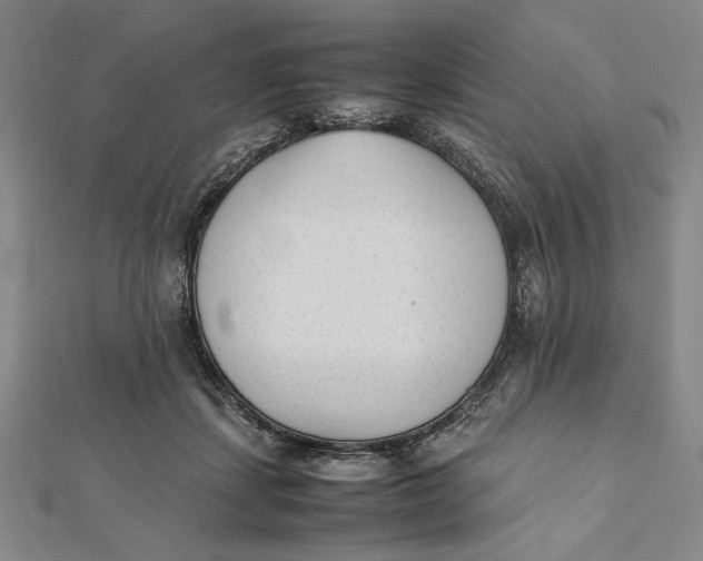 X0000112050459200908251002