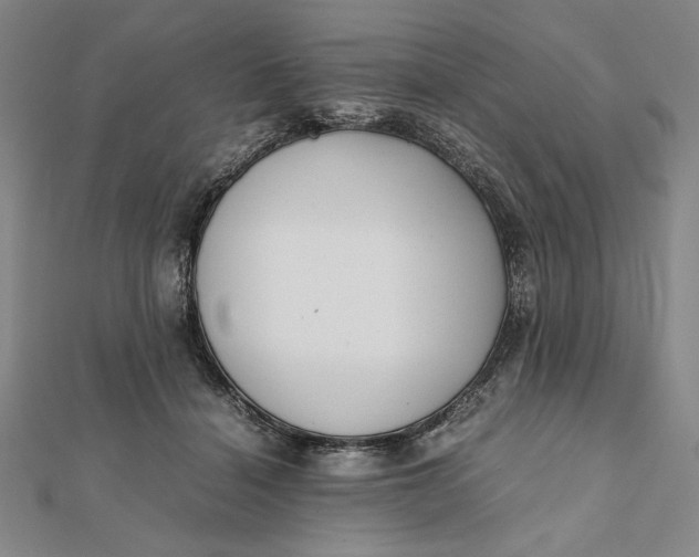 X0000112050460200908251002