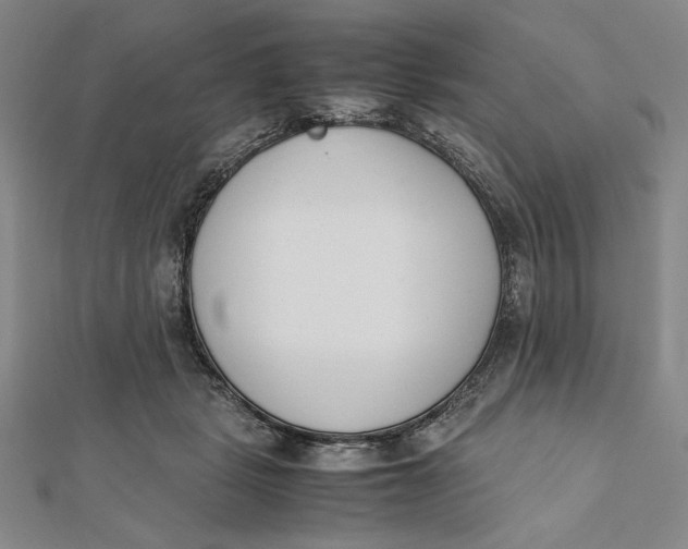 X0000112050461200908251002